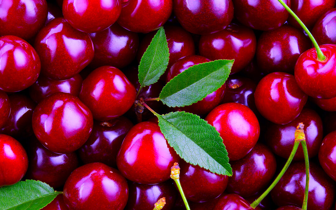 True Tales Of Picking Cherries & Low Hanging Fruit
